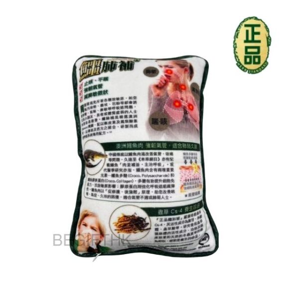 Begifthk-迷你抱枕cushion訂製-香港企業紀念品