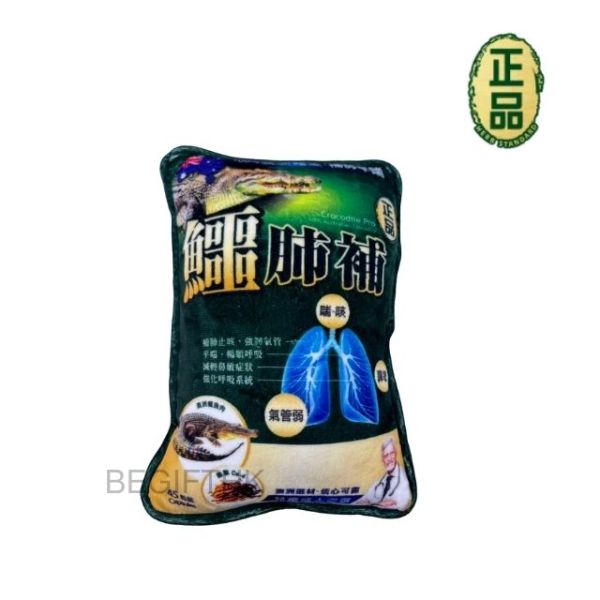 Begifthk-迷你抱枕cushion訂製-香港企業紀念品